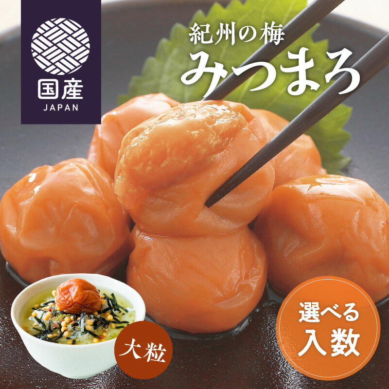 はちみつ梅 紀州の梅 みつまろ 〈 500g ／ 1kg ／1.5kg 〉 ( 梅干し 甘い 大粒 ジューシー はちみつ 塩分8％ はちみつ梅干 蜂蜜梅 紀州南高梅 梅干 梅 うめ うめぼし 訳あり ごはん ご飯のお供 お弁当 おにぎり 子ども ティーライフ )