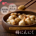 ティーライフ 梅にんにく 320g