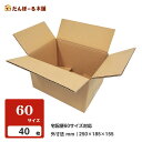 ダンボール 宅配 60サイズ 40枚セット 25×18.5×15.5 (h) タチバナ産業 段ボール ダンボール 日本製 引越し 引っ越し 収納 梱包 強化 発...