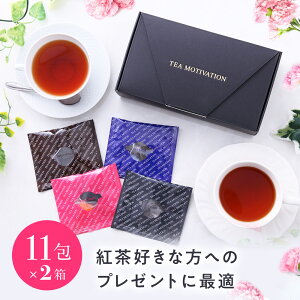 【送料無料】紅茶ギフトセット TeaMotivation（22個入り)アソートセット【 母の日 ギフト ティーバッグ おしゃれ 茶葉 ダージリン 甘いものが苦手 贈り物 プレゼント これ良い かわいい 挨拶ギフト お茶 高級 健康 個包装 手土産 贈答 職場 】