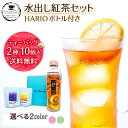 ボトルは2色から選べます TEA NAVIGATION 紅茶 ティーバッグ 水出し アイスティー HARIO (ハリオ) フィルターインボトル ポータブル 400mlセット タチバナ産業 アールグレイ トロピカルマンゴー 各5包×2袋入 包装済 送料無料