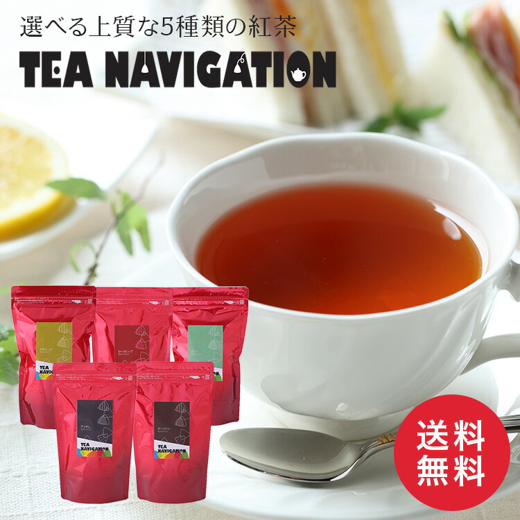 フルーツティー TEA NAVIGATION プレミアムライン 紅茶 ギフト ティーバッグ スタンドパック 25包入 高級 フレーバーティー フルーツティー ハーブティー プレゼント 退職祝い 出産祝い バレンタイン ホワイトデー 母の日 プチギフト