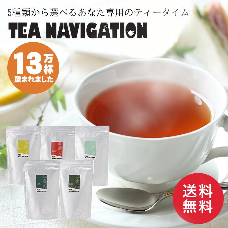 TEA NAVIGATION プレミアムライン 紅茶 ギフト ティーバッグ スタンドパック 50包入 高級 フレーバーテ..