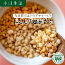 【公式】 小川生薬 はとむぎのおやつ 300g はと麦加工品 はとむぎ はと麦