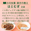 【公式】 小川生薬 はとむぎのおやつ 300g はと麦加工品