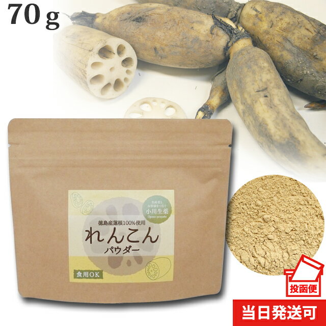 【100年以上続く生薬会社の作った 国産 れんこん パウダー 】 70g レンコン粉末 徳島産 ポスト投函便 送料無料 小川生薬