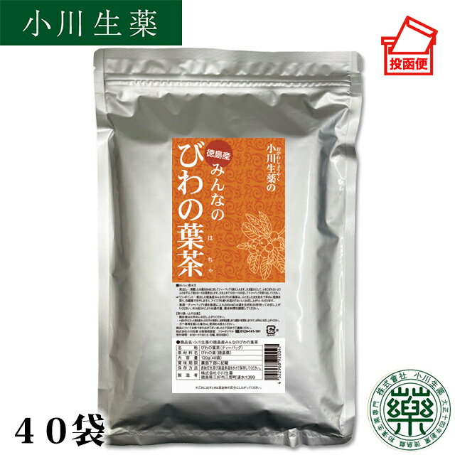 3g×40袋 徳島産みんなのびわの葉茶 厳選小川生薬 無漂白ティーバッグ 【ポスト投函便送料無料】