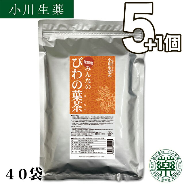 【送料無料】 厳選小川生薬 徳島産みんなのびわの葉茶 国産(徳島産) 3g×40袋 無漂白ティーバッグ 5個セットさらにもう1個プレゼント