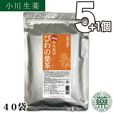 【送料無料】 厳選小川生薬 徳島産みんなのびわの葉茶 国産(徳島産) 3g×40袋 無漂白ティーバッグ 5個セットさらにもう1個プレゼント