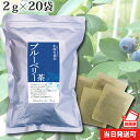  小川生薬 ブルーベリー茶(葉・軸) 国産 2g×20袋 無漂白ティーバッグ