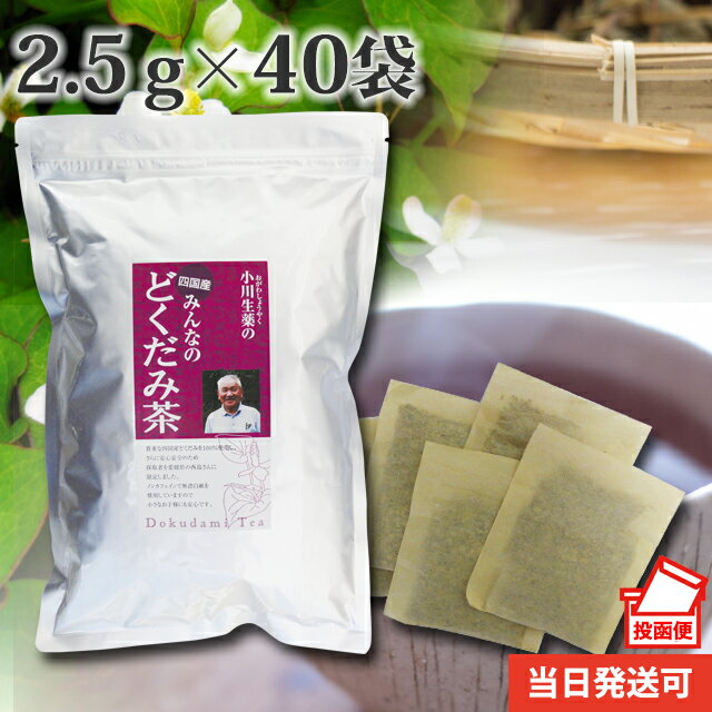 【ポスト投函便送料無料】厳選小川生薬 四国産みんなのどくだみ茶 国産(四国産) 2.5g×40袋 無漂白ティーバッグ