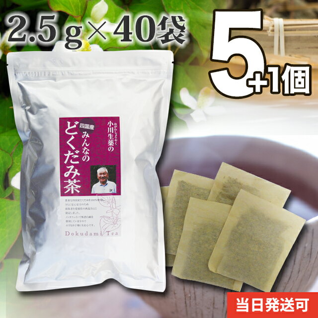 【送料無料】 厳選小川生薬 四国産みんなのどくだみ茶 国産(四国産) 2.5g×40袋 無漂白ティーバッグ 5個セットさらにもう1個プレゼント