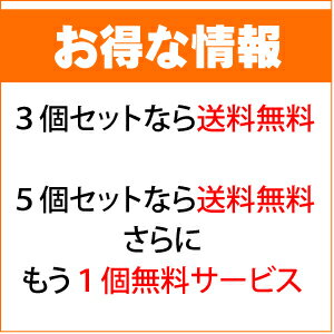 厳選小川生薬 四国産みんなのどくだみ茶 国産(四国産) 2.5g×40袋 無漂白ティーバッグ