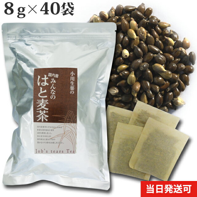 小川生薬 国内産みんなのはと麦茶 国産 320g(8g×40袋) 無漂白ティーバッグ