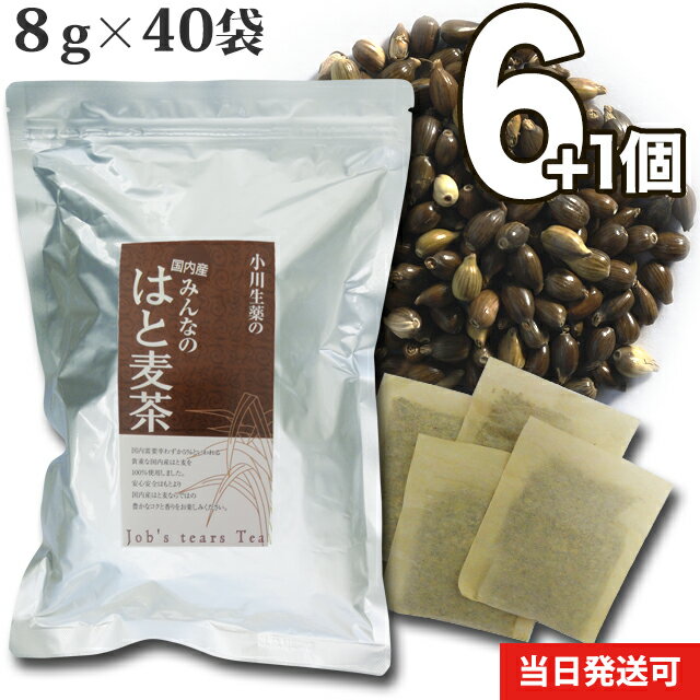 【送料無料】 小川生薬 国内産みんなのはと麦茶 国産 320g(8g×40袋) 無漂白ティーバッグ 6個セットさらにもう1個プレゼント