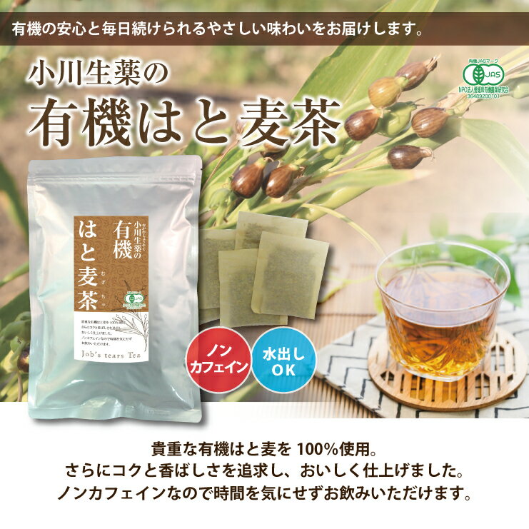 【ポスト投函便送料無料】 小川生薬 有機はと麦茶ラオス産 8g×35袋 無漂白ティーバッグ