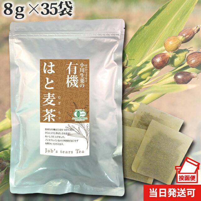 【ポスト投函便送料無料】 小川生薬 有機はと麦茶ラオス産 8g×35袋 無漂白ティーバッグ