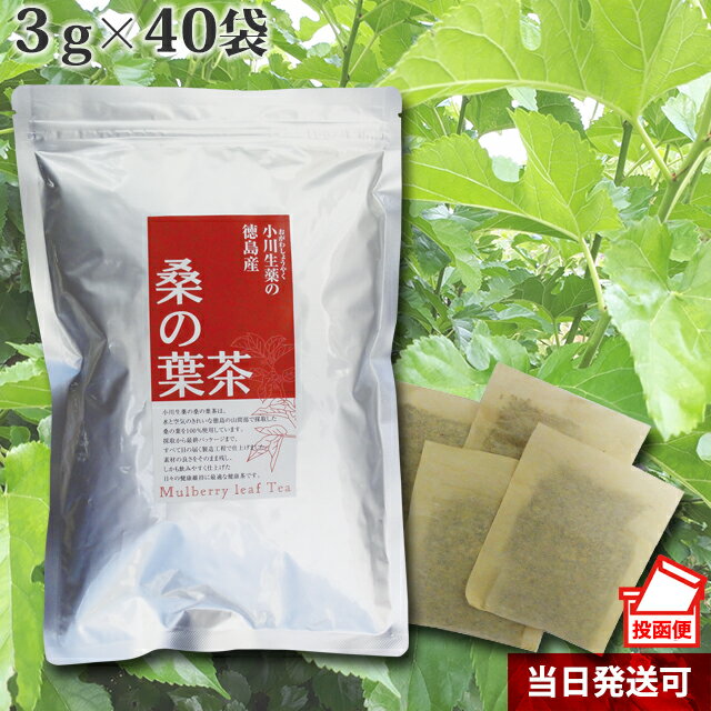 3g×40袋 徳島産桑の葉茶 小川生薬 国産(徳島産) 無漂白ティーバッグ 【ポスト投函便送料無料】