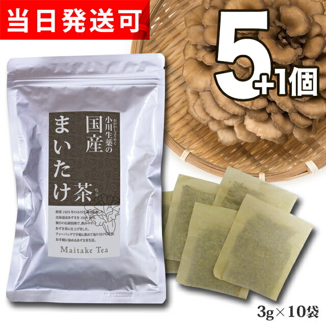 【送料無料】 小川生薬 国産まいたけ茶（舞茸茶/マイタケ茶） 国産 3g×10袋 無漂白ティーバッグ 5個セットさらにもう1個プレゼント