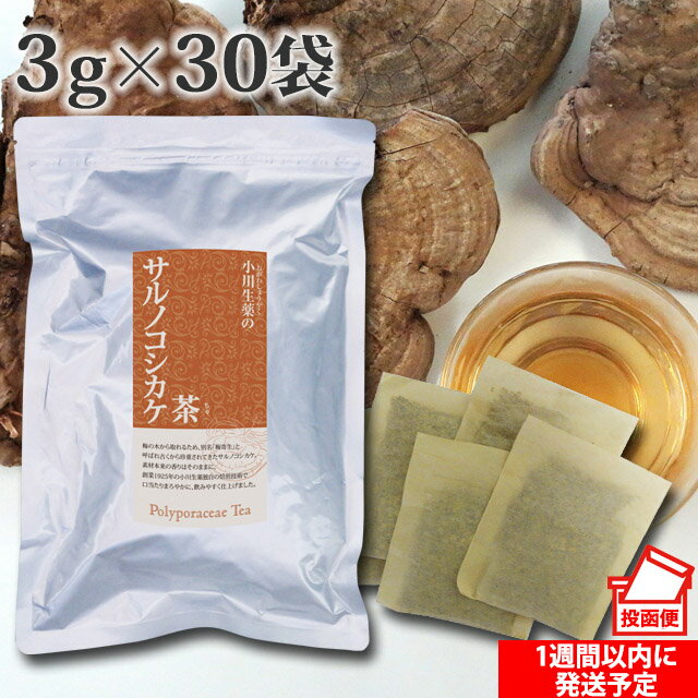  小川生薬 サルノコシカケ茶 3g×30袋 無漂白ティーバッグさるのこしかけ茶