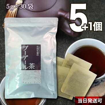 【送料無料】【30日以内返品保証】 小川生薬 プーアル茶 5g×30袋 無漂白ティーバッグ 5個セットさらにもう1個プレゼント