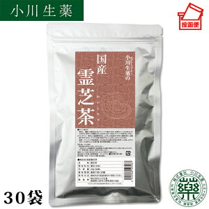 30g（1g×30袋）小川生薬 国産霊芝茶（れいし茶）【国産】【レイシ茶】ポスト投函便 送料無料