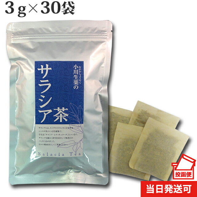 3g×30袋 小川生薬 サラシア茶 インド