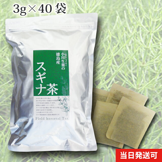 実はすごい スギナ茶 特集 女性必見の効能とは 作り方と注意点もご紹介 暮らし の