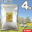 2g×36袋ポーランド産タンポポ茶 小川生薬 テトラバッグ 【送料無料】4個セット 5,184円