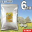 2g×36袋 ポーランド産タンポポ茶 小川生薬 テトラバッグ 【送料無料】6個セットさらにもう1個プレゼント 7,776円