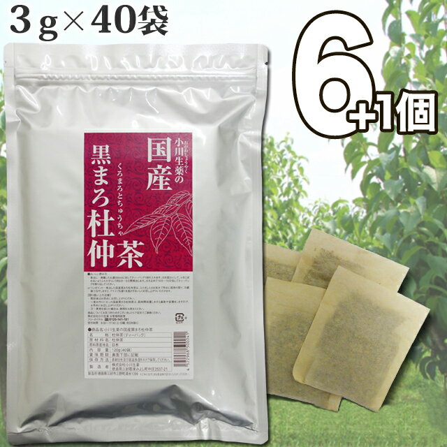 3g×40袋 国産黒まろ杜仲茶 小川生薬 無漂白ティーバッグ 【送料無料】6個セットさらにもう1個プレゼントのサムネイル