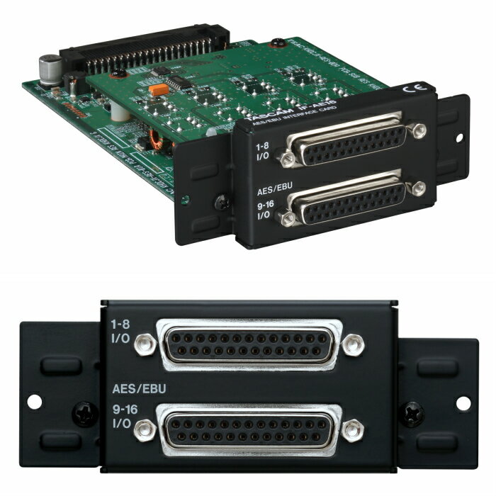 TASCAM(タスカム) IF-AE16