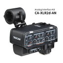 TASCAM(タスカム) CA-XLR2d-AN ミラーレスカメラ対応XLRマイクアダプター(アナログインターフェースキット) 2chミキサー/プリアンプ 動画音声収録 取材インタビュー 動画制作