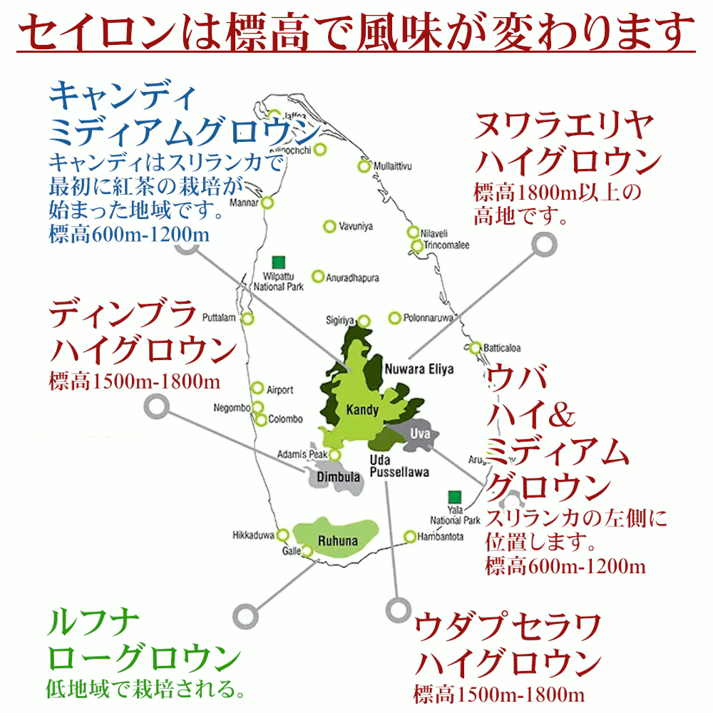 紅茶 ティーバッグ 10個 バドゥッラ デモデ...の紹介画像3