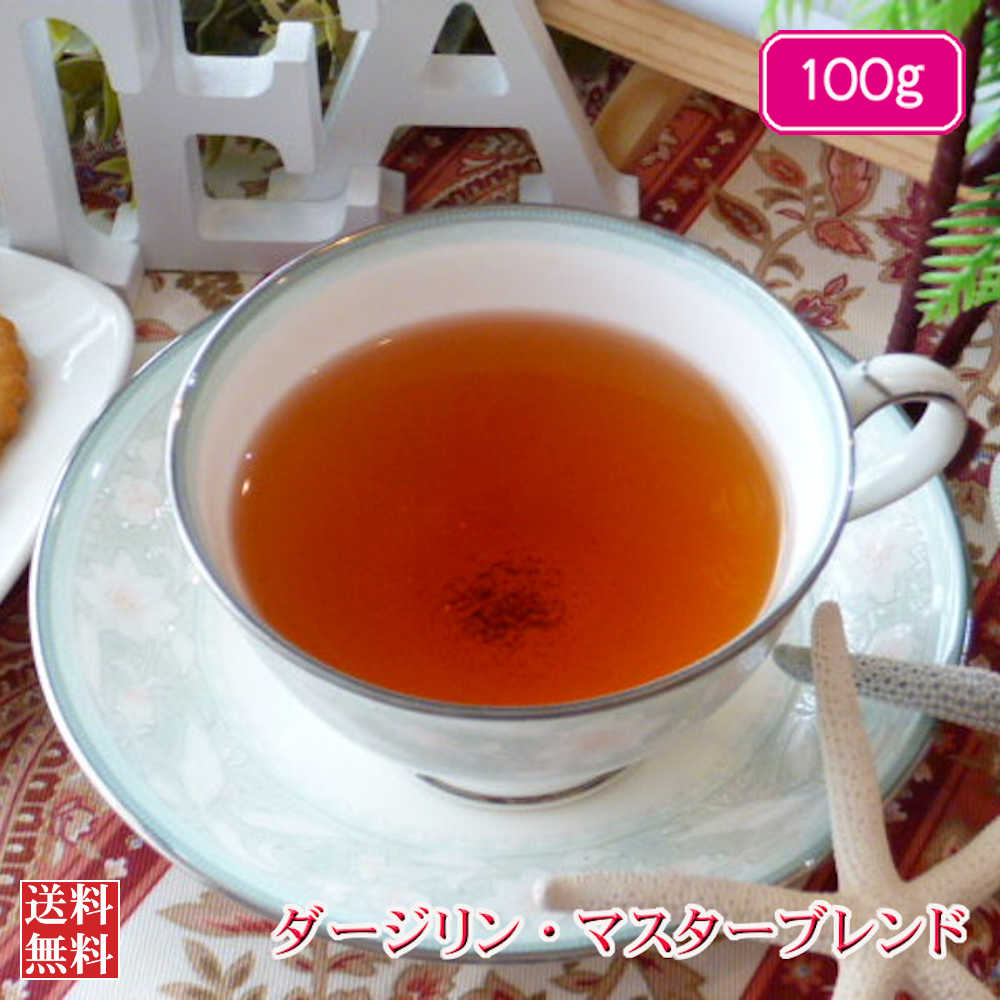 紅茶 茶葉 ダージリン・マスターブレンド 100g 【送料無料】 ダージリンティー 大容量 まとめ買い 大袋 業務用 ギフト ティーライフ 紅茶専門店