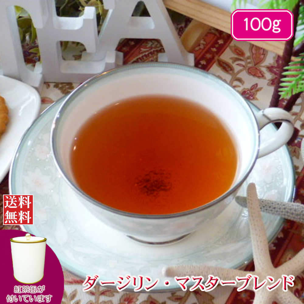 紅茶 茶葉 缶 ダージリン 茶缶付 ダージリン・マスターブレンド 100g 【送料無料】 ダージリンティー 大容量 まとめ買い 大袋 業務用 ギフト ティーライフ 紅茶専門店