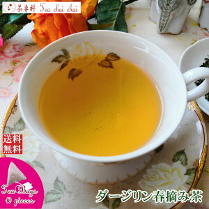 紅茶 ティーバッグ 10個 オリジナル ダージリン春摘み茶【送料無料】 ダージリンティー 大容量 まとめ買い 大袋 業務用 ギフト ティーライフ 紅茶専門店