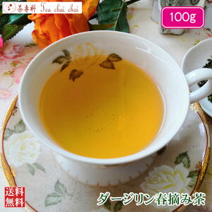 紅茶 茶葉 オリジナル ダージリン春摘み茶 100g【送料無料】 ダージリンティー 大容量 まとめ買い 大袋 業務用 ギフト ティーライフ 紅茶専門店