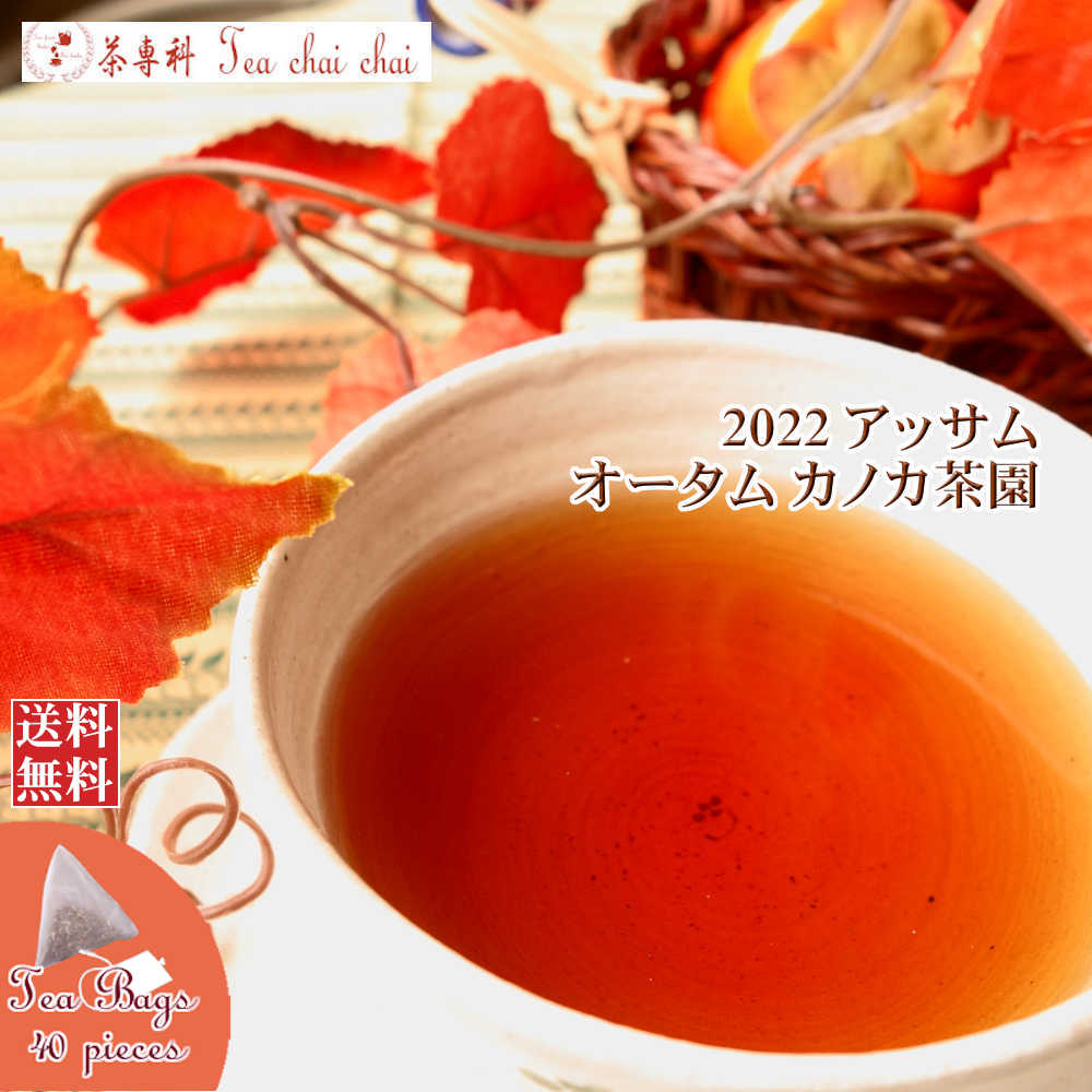 紅茶 ティーバッグ 40個 アッサム カノカ茶園 オータム TGFOP 1 ORGANIC O389/2022【送料無料】 アッサムティー 紅茶専門店