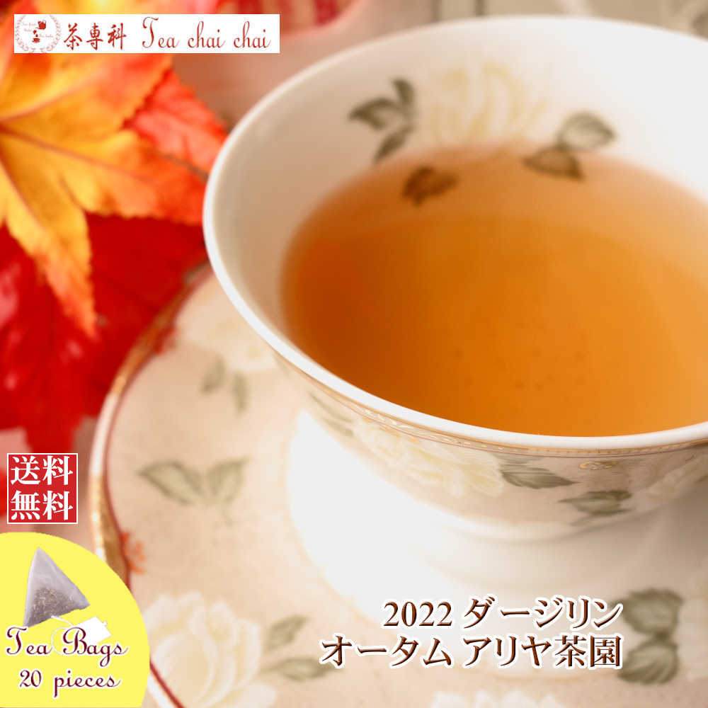 紅茶 ティーバッグ 20個 ダージリン アリヤ茶園 オータム FTGFOP 1 CH ORGANIC DJ126/2022【送料無料】 紅茶専門店