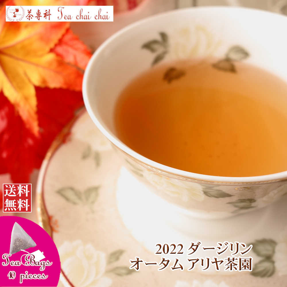 紅茶 ティーバッグ 10個 ダージリン アリヤ茶園 オータム FTGFOP 1 CH ORGANIC DJ126/2022 紅茶専門店