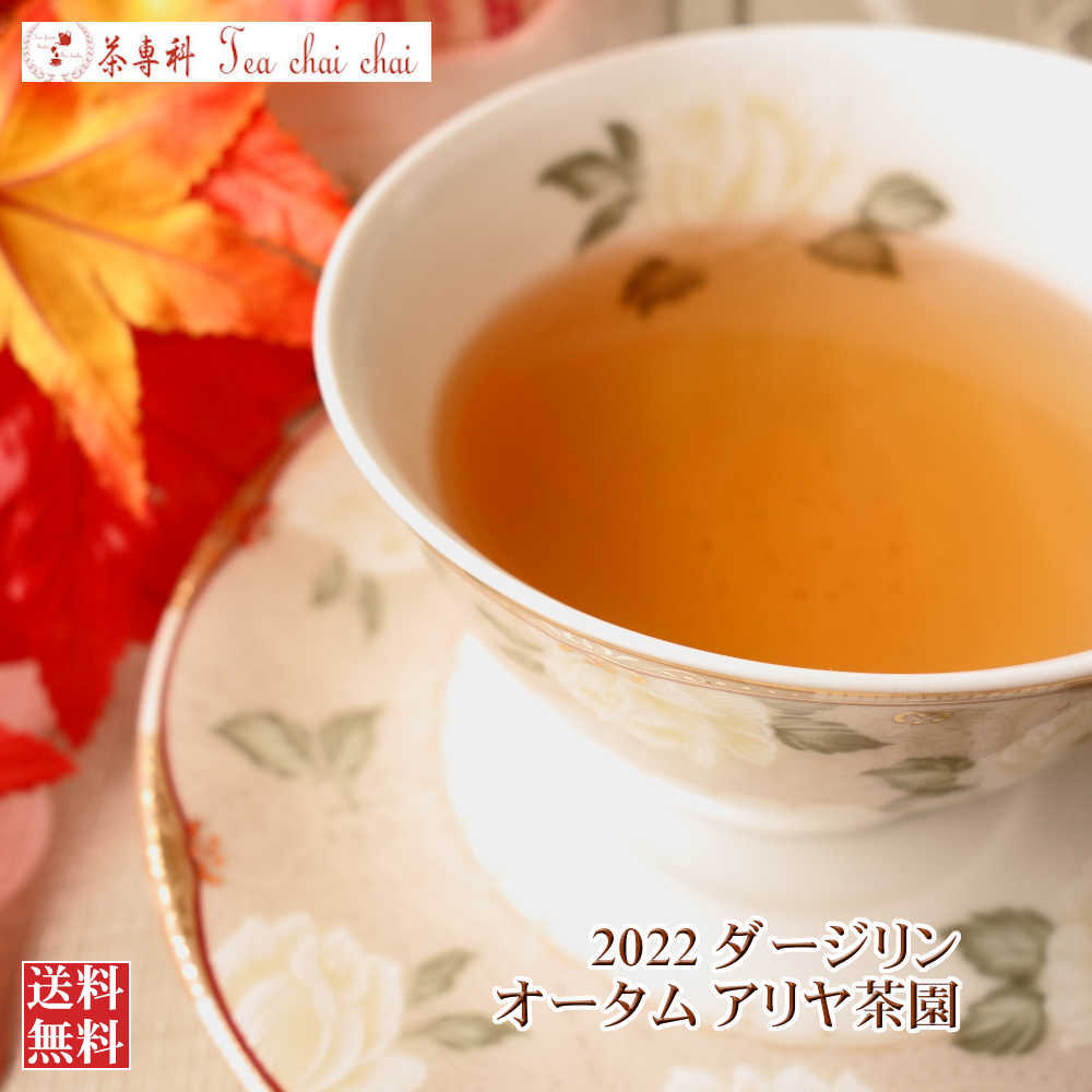 紅茶 茶葉 ダージリン アリヤ茶園 オータム FTGFOP 1 CH ORGANIC DJ126/2022 50g 紅茶専門店