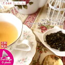 紅茶 ティーバッグ 10個 ダージリン ファースト オカイティ茶園 FTGFOP 1 DJ41/2023【送料無料】 紅茶専門店