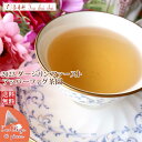 紅茶 ティーバッグ 40個 ダージリン ファースト アッパーファグ茶園 FTGFOP 1 EX9/2023【送料無料】 紅茶専門店