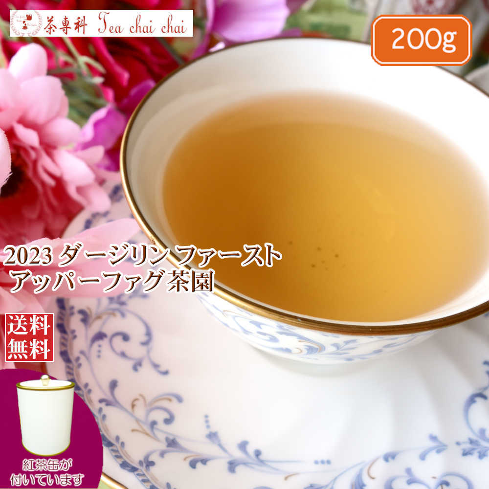 紅茶 茶葉 ダージリン 茶缶付 ファースト アッパーファグ茶園 FTGFOP 1 EX9/2023 200g【送料無料】 紅茶専門店