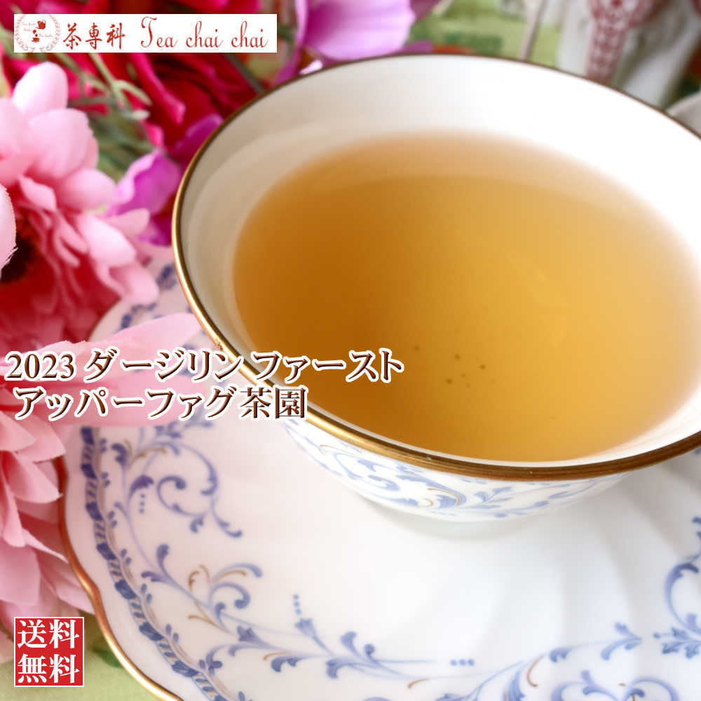 紅茶 茶葉 ダージリン ファースト 