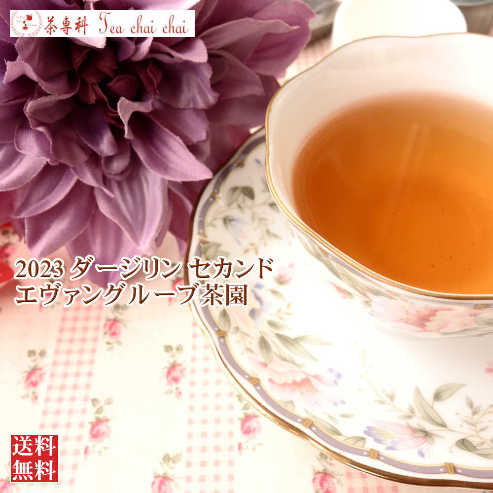 紅茶 茶葉 ダージリン エヴァングルーブ茶園 CLONAL DELIGHT DJ108/2023 50g【送料無料】 紅茶専門店