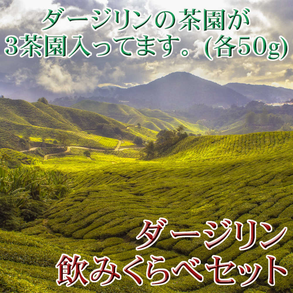 紅茶茶葉セットダージリン飲みくらべセット♪【送料無料】