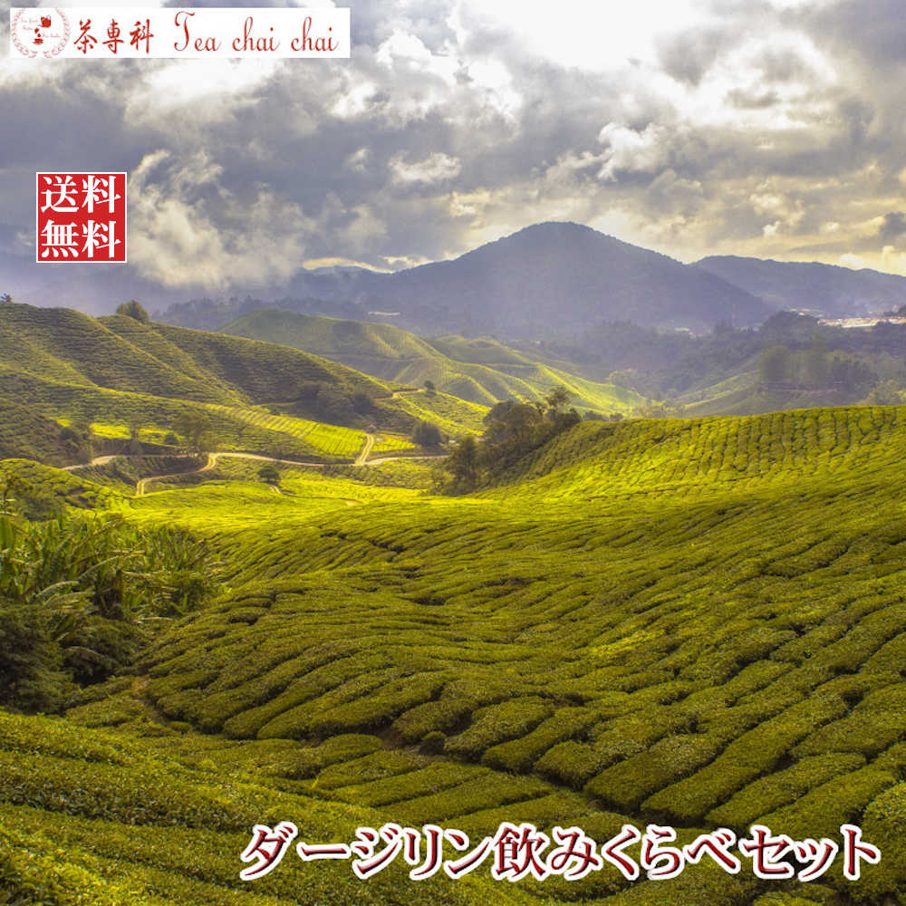 紅茶茶葉セットダージリン飲みくらべセット♪【送料無料】