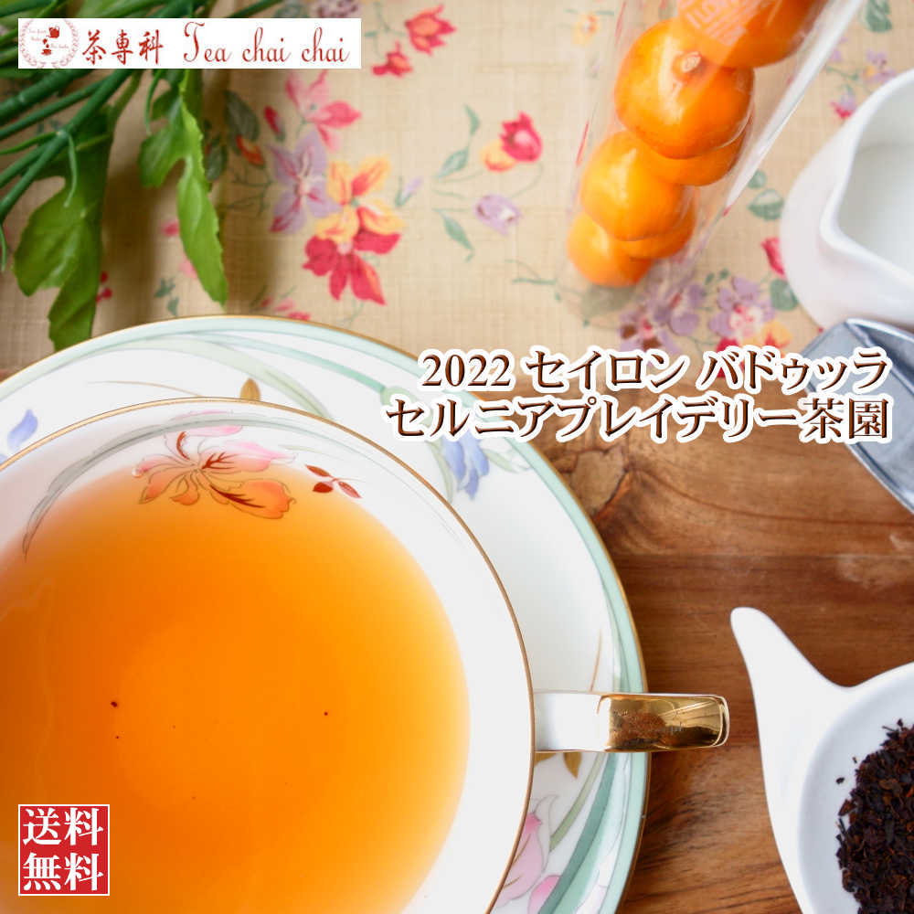 紅茶 茶葉 バドゥッラ セルニアプレイデリー茶園 BOPSP/2022 50g【送料無料】 セイロン メール便 紅茶専門店